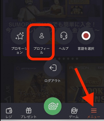 ボンズカジノのプロフィール情報入力