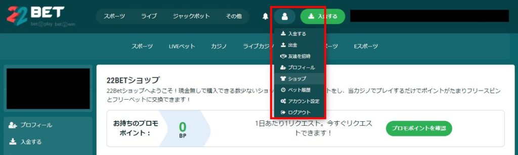 ポイントの確認方法