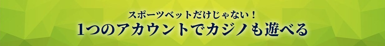 ハイブリッド型オンラインカジノ